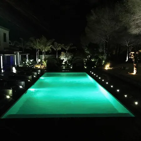 Shangtasia Luxury Art Grimaud