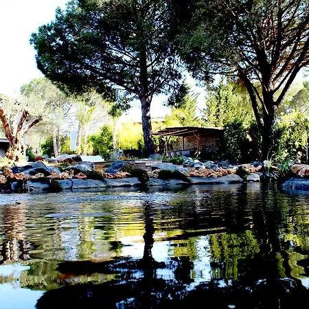 Shangtasia Luxury Art Guest house 4*
