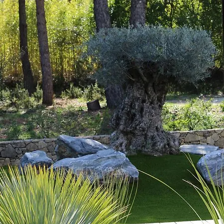 Shangtasia Luxury Art Grimaud
